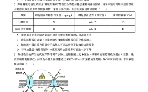 成都石室中学2025-2026学年度上期高2026届一诊模拟考试生物_2025年12月_251217四川省成都石室中学2025-2026学年度上期高2026届一诊模拟考试