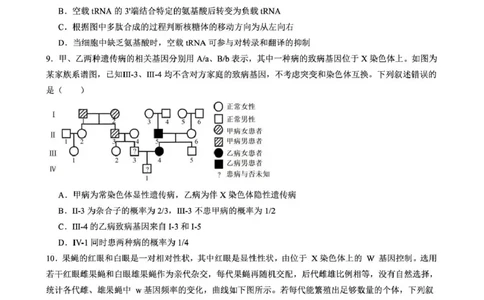 成都石室中学2025-2026学年度上期高2026届一诊模拟考试生物_2025年12月_251217四川省成都石室中学2025-2026学年度上期高2026届一诊模拟考试