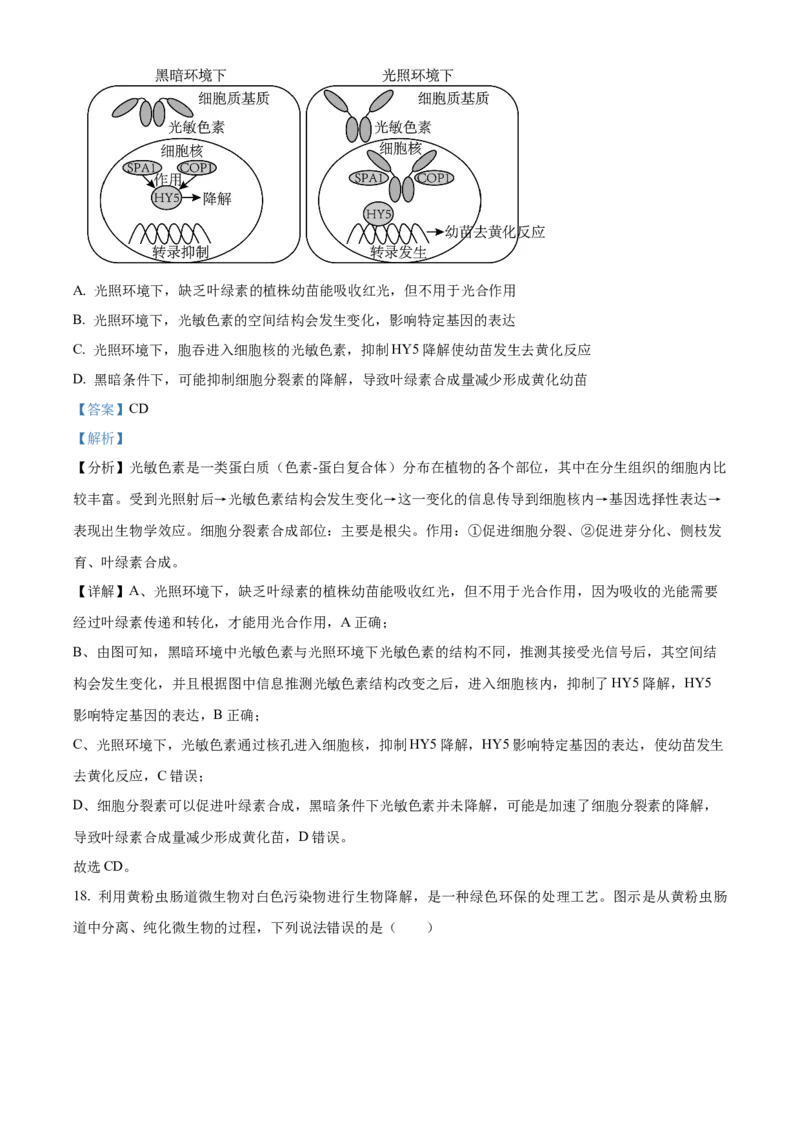 2026届江苏省南京市鼓楼区南京市第二十九中学模拟预测生物试题Word版含解析_2025年7月_250728江苏省南京市第二十九中学2026届高三上学期模拟预测试题