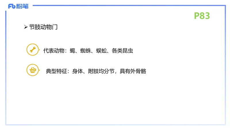 理论精讲11-动物学与动物生理学1-拾光_4-教培资料-26年最新资料-同步更新_初中高中教资_03科三专项（进去保存报考的学科即可）_初中_初中生物-通关资料包_2025年FB学科-生物_讲义