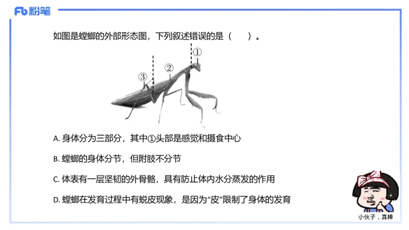 理论精讲11-动物学与动物生理学1-拾光_4-教培资料-26年最新资料-同步更新_初中高中教资_03科三专项（进去保存报考的学科即可）_初中_初中生物-通关资料包_2025年FB学科-生物_讲义