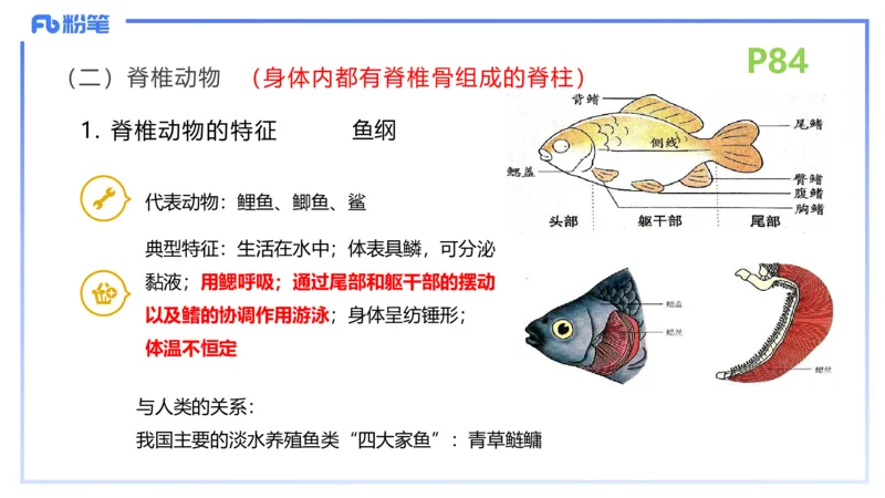 理论精讲11-动物学与动物生理学1-拾光_4-教培资料-26年最新资料-同步更新_初中高中教资_03科三专项（进去保存报考的学科即可）_初中_初中生物-通关资料包_2025年FB学科-生物_讲义