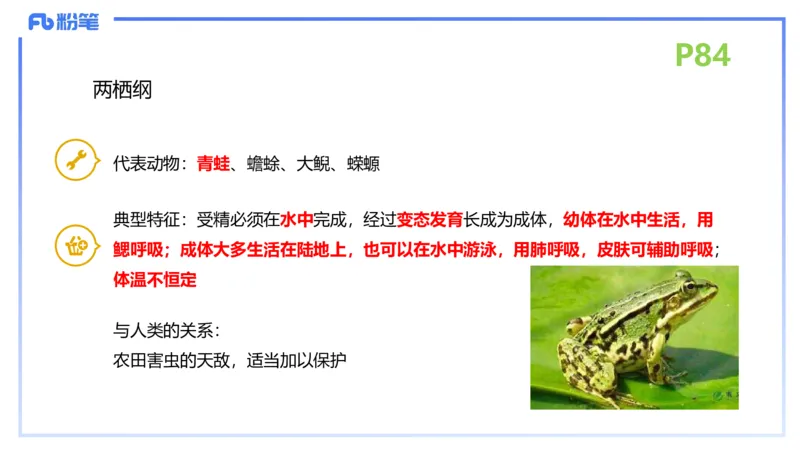 理论精讲11-动物学与动物生理学1-拾光_4-教培资料-26年最新资料-同步更新_初中高中教资_03科三专项（进去保存报考的学科即可）_初中_初中生物-通关资料包_2025年FB学科-生物_讲义