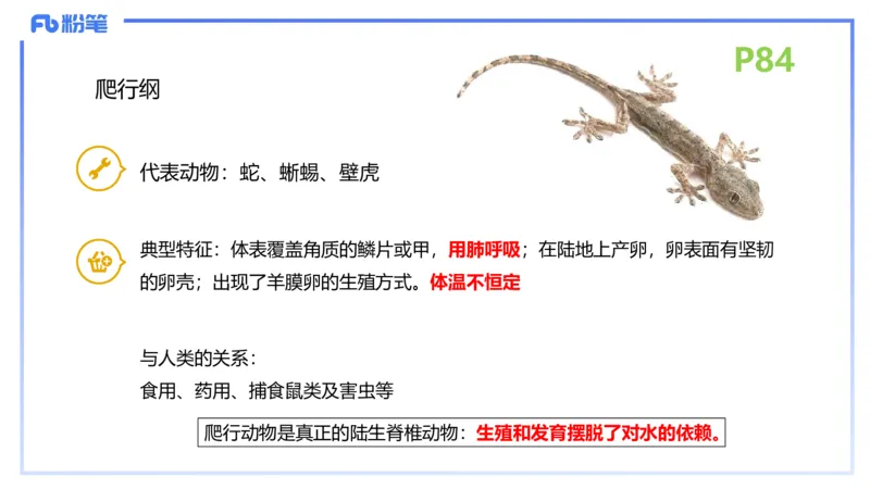 理论精讲11-动物学与动物生理学1-拾光_4-教培资料-26年最新资料-同步更新_初中高中教资_03科三专项（进去保存报考的学科即可）_初中_初中生物-通关资料包_2025年FB学科-生物_讲义