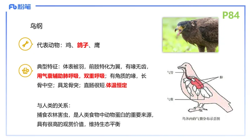 理论精讲11-动物学与动物生理学1-拾光_4-教培资料-26年最新资料-同步更新_初中高中教资_03科三专项（进去保存报考的学科即可）_初中_初中生物-通关资料包_2025年FB学科-生物_讲义