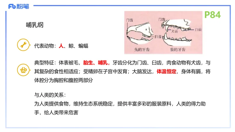 理论精讲11-动物学与动物生理学1-拾光_4-教培资料-26年最新资料-同步更新_初中高中教资_03科三专项（进去保存报考的学科即可）_初中_初中生物-通关资料包_2025年FB学科-生物_讲义