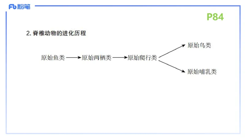 理论精讲11-动物学与动物生理学1-拾光_4-教培资料-26年最新资料-同步更新_初中高中教资_03科三专项（进去保存报考的学科即可）_初中_初中生物-通关资料包_2025年FB学科-生物_讲义