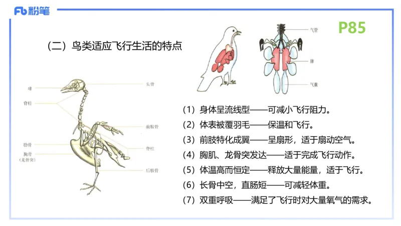 理论精讲11-动物学与动物生理学1-拾光_4-教培资料-26年最新资料-同步更新_初中高中教资_03科三专项（进去保存报考的学科即可）_初中_初中生物-通关资料包_2025年FB学科-生物_讲义