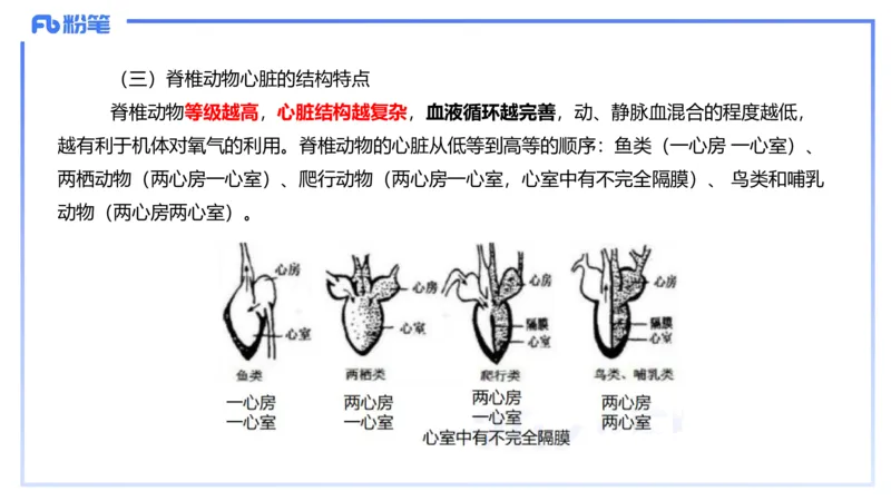 理论精讲11-动物学与动物生理学1-拾光_4-教培资料-26年最新资料-同步更新_初中高中教资_03科三专项（进去保存报考的学科即可）_初中_初中生物-通关资料包_2025年FB学科-生物_讲义