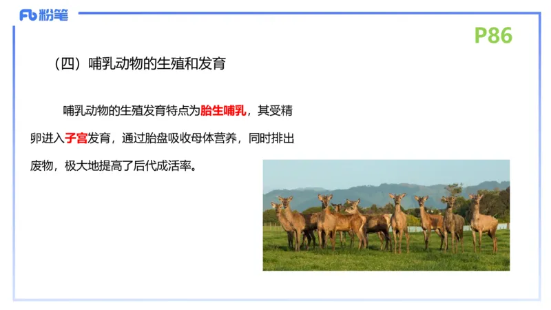理论精讲11-动物学与动物生理学1-拾光_4-教培资料-26年最新资料-同步更新_初中高中教资_03科三专项（进去保存报考的学科即可）_初中_初中生物-通关资料包_2025年FB学科-生物_讲义