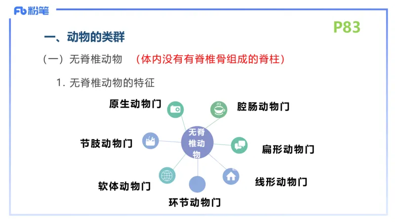 理论精讲11-动物学与动物生理学1-拾光_4-教培资料-26年最新资料-同步更新_初中高中教资_03科三专项（进去保存报考的学科即可）_初中_初中生物-通关资料包_2025年FB学科-生物_讲义