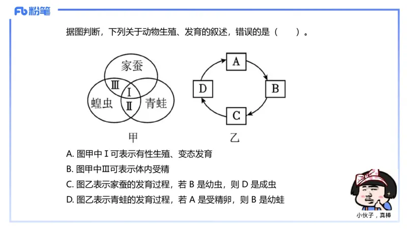 理论精讲11-动物学与动物生理学1-拾光_4-教培资料-26年最新资料-同步更新_初中高中教资_03科三专项（进去保存报考的学科即可）_初中_初中生物-通关资料包_2025年FB学科-生物_讲义