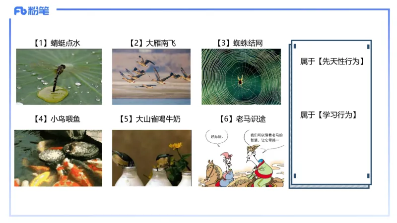 理论精讲11-动物学与动物生理学1-拾光_4-教培资料-26年最新资料-同步更新_初中高中教资_03科三专项（进去保存报考的学科即可）_初中_初中生物-通关资料包_2025年FB学科-生物_讲义