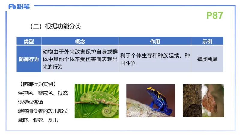 理论精讲11-动物学与动物生理学1-拾光_4-教培资料-26年最新资料-同步更新_初中高中教资_03科三专项（进去保存报考的学科即可）_初中_初中生物-通关资料包_2025年FB学科-生物_讲义