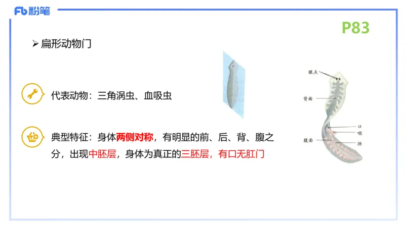 理论精讲11-动物学与动物生理学1-拾光_4-教培资料-26年最新资料-同步更新_初中高中教资_03科三专项（进去保存报考的学科即可）_初中_初中生物-通关资料包_2025年FB学科-生物_讲义