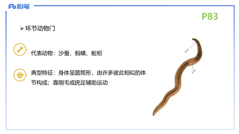 理论精讲11-动物学与动物生理学1-拾光_4-教培资料-26年最新资料-同步更新_初中高中教资_03科三专项（进去保存报考的学科即可）_初中_初中生物-通关资料包_2025年FB学科-生物_讲义