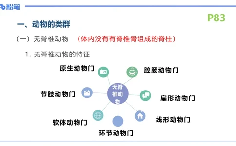 理论精讲11-动物学与动物生理学1-拾光_4-教培资料-26年最新资料-同步更新_初中高中教资_03科三专项（进去保存报考的学科即可）_初中_初中生物-通关资料包_2025年FB学科-生物_讲义