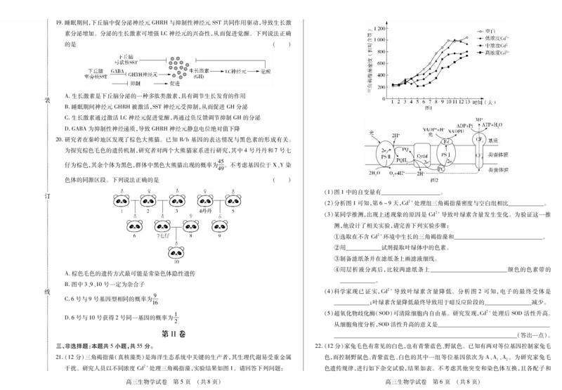新时代高中教育联合体2025-2026学年高三上学期11月期中联考生物_251106黑龙江省新时代高中教育联合体2025-2026学年高三上学期11月期中联考（全科）