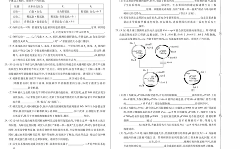 新时代高中教育联合体2025-2026学年高三上学期11月期中联考生物_251106黑龙江省新时代高中教育联合体2025-2026学年高三上学期11月期中联考（全科）