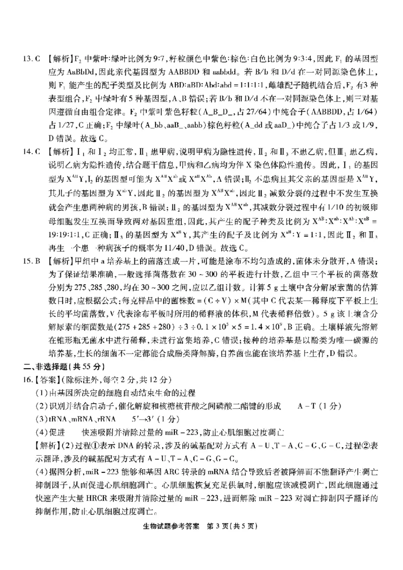 南开中学高2026届高三第三次质量检测生物答案_251109重庆市南开中学高2026届高三第三次质量检测（全科）