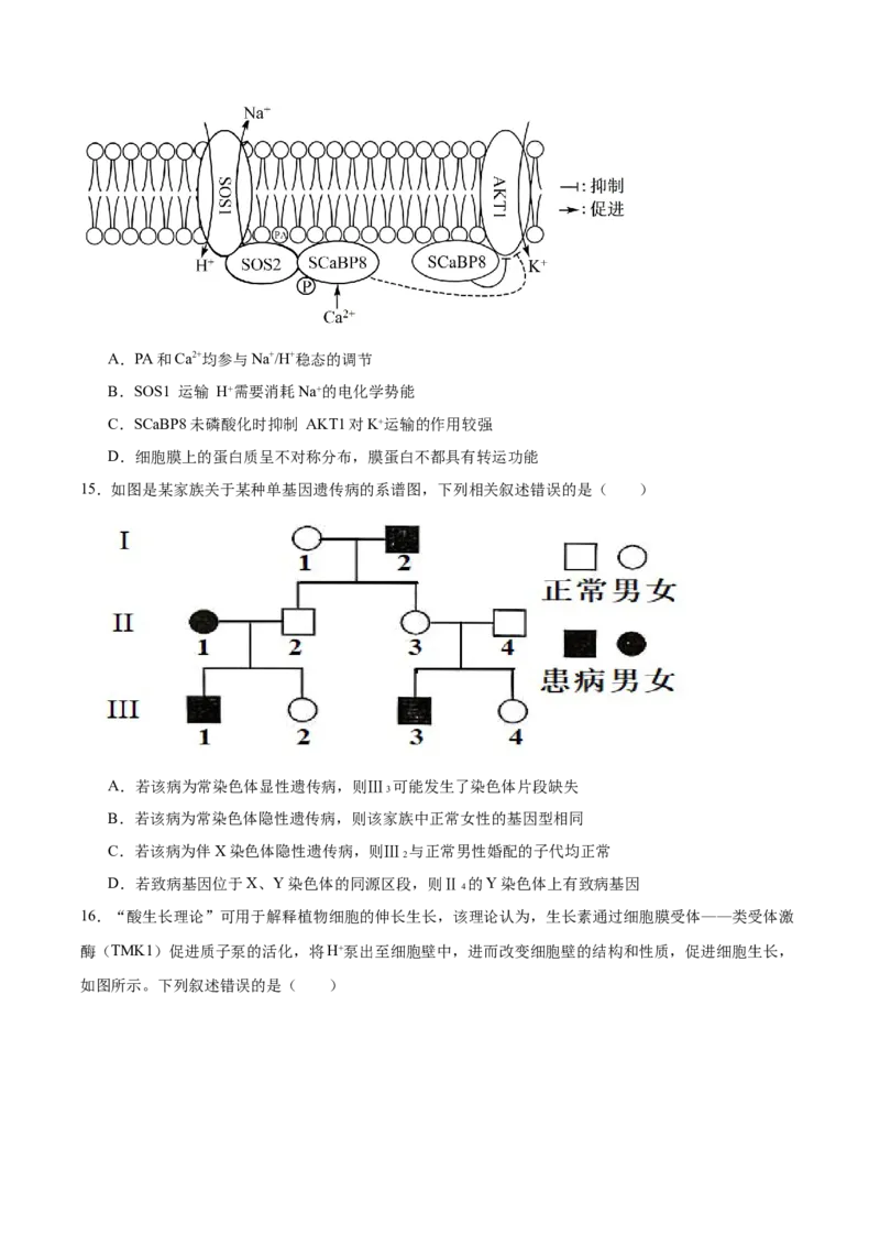 天壹名校联盟2026届高三11月质量检测生物_251112湖南省天壹名校联盟2026届高三11月质量检测（全科）