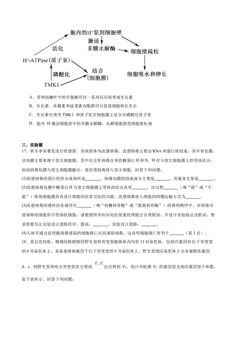 天壹名校联盟2026届高三11月质量检测生物_251112湖南省天壹名校联盟2026届高三11月质量检测（全科）