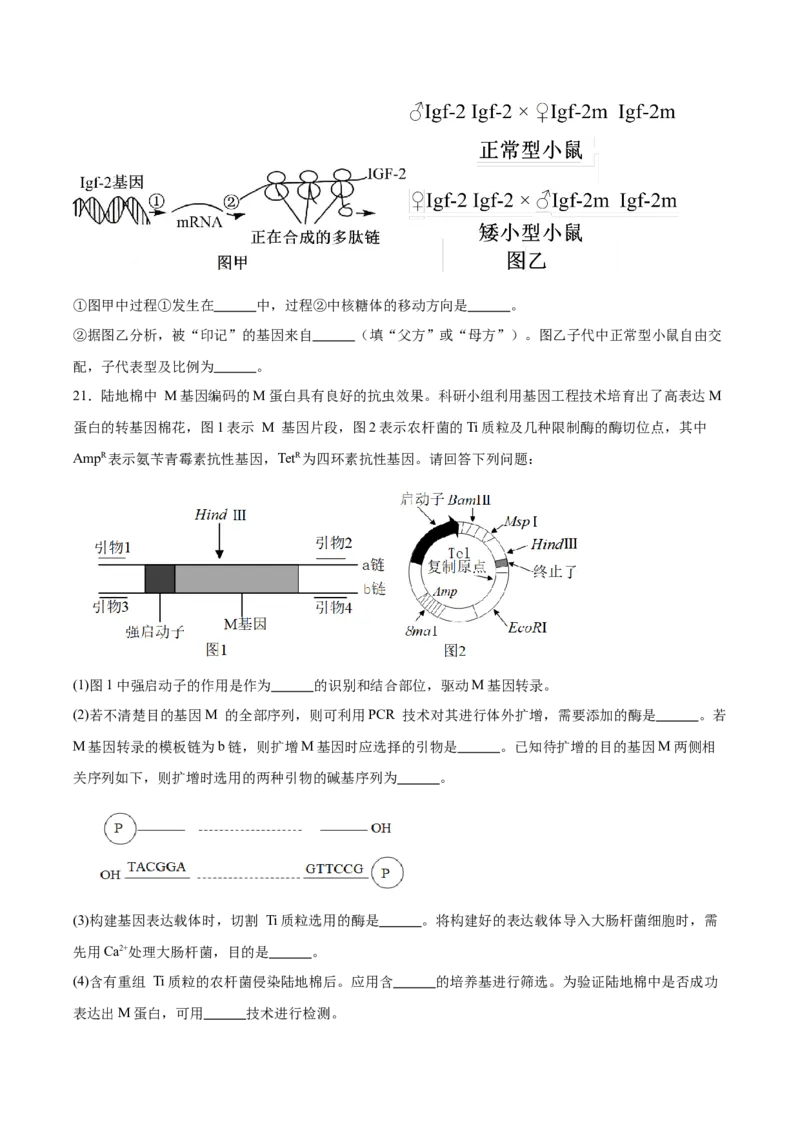 天壹名校联盟2026届高三11月质量检测生物_251112湖南省天壹名校联盟2026届高三11月质量检测（全科）