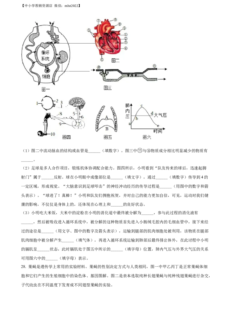 精品解析：2022年内蒙古通辽市中考生物真题（原卷版）_中考真题_8.生物中考真题2015-2024年_2022年全国中考生物114份14