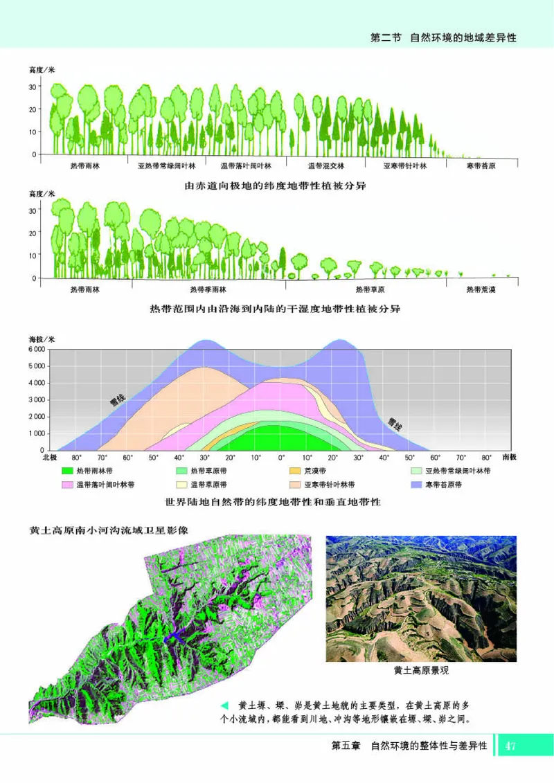 湘教版地理选修第一册地理图册_4-教培资料-26年最新资料-同步更新_初中高中教资_03科三专项（进去保存报考的学科即可）_02科三专项（笔记真题思维导图教学设计版本二）