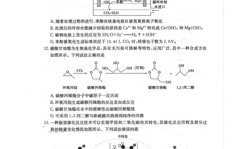 2024届山东省枣庄市高三上学期期末考试试题化学_2024届山东省枣庄市高三上学期期末考试试题