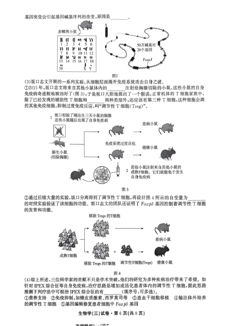 云南省名校联盟2026届高三上学期第三次联考生物_2025年12月_251227云南省名校联盟2026届高三上学期第三次联考（全科）