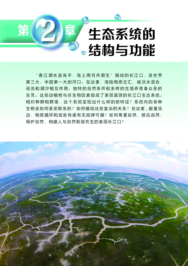 沪科技生物选修2高清教材_4-教培资料-26年最新资料-同步更新_初中高中教资_03科三专项（进去保存报考的学科即可）_02科三专项（笔记真题思维导图教学设计版本二）
