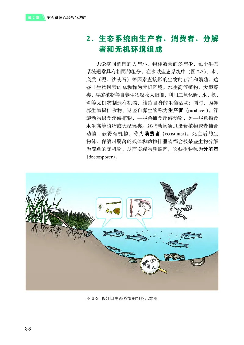 沪科技生物选修2高清教材_4-教培资料-26年最新资料-同步更新_初中高中教资_03科三专项（进去保存报考的学科即可）_02科三专项（笔记真题思维导图教学设计版本二）