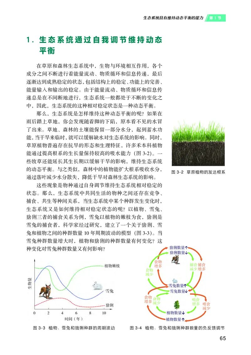 沪科技生物选修2高清教材_4-教培资料-26年最新资料-同步更新_初中高中教资_03科三专项（进去保存报考的学科即可）_02科三专项（笔记真题思维导图教学设计版本二）