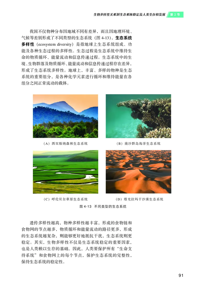 沪科技生物选修2高清教材_4-教培资料-26年最新资料-同步更新_初中高中教资_03科三专项（进去保存报考的学科即可）_02科三专项（笔记真题思维导图教学设计版本二）