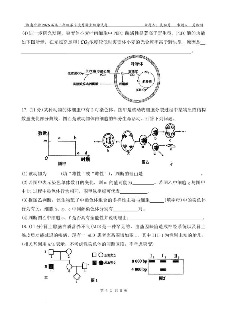 海南中学2026届高三年级11月第二次月考生物_251117海南省海南中学2026届高三年级11月第二次月考（全科）