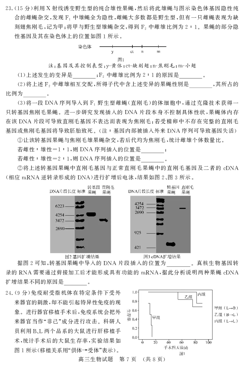 山东名校考试联盟2025年12月高三年级阶段性检测生物_2025年12月_251218山东名校考试联盟2025年12月高三年级阶段性检测（全科）