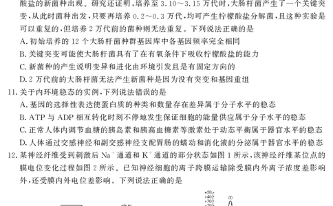 山东名校考试联盟2025年12月高三年级阶段性检测生物_2025年12月_251218山东名校考试联盟2025年12月高三年级阶段性检测（全科）