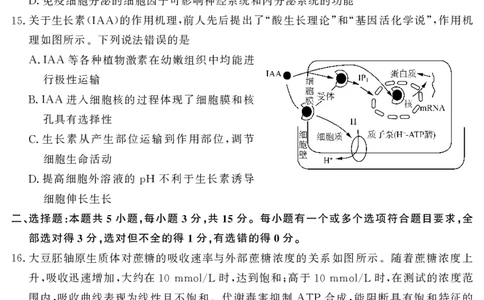 山东名校考试联盟2025年12月高三年级阶段性检测生物_2025年12月_251218山东名校考试联盟2025年12月高三年级阶段性检测（全科）