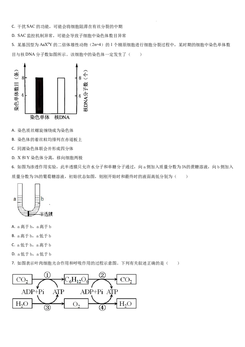 吉林省通化市梅河口市第五中学2025-2026学年高三上学期12月月考生物试题（含答案）_2025年12月_251216吉林省通化市梅河口市第五中学2025-2026学年高三上学期12月月考（全科）