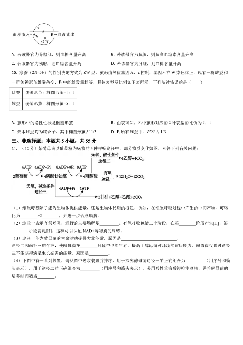 吉林省通化市梅河口市第五中学2025-2026学年高三上学期12月月考生物试题（含答案）_2025年12月_251216吉林省通化市梅河口市第五中学2025-2026学年高三上学期12月月考（全科）