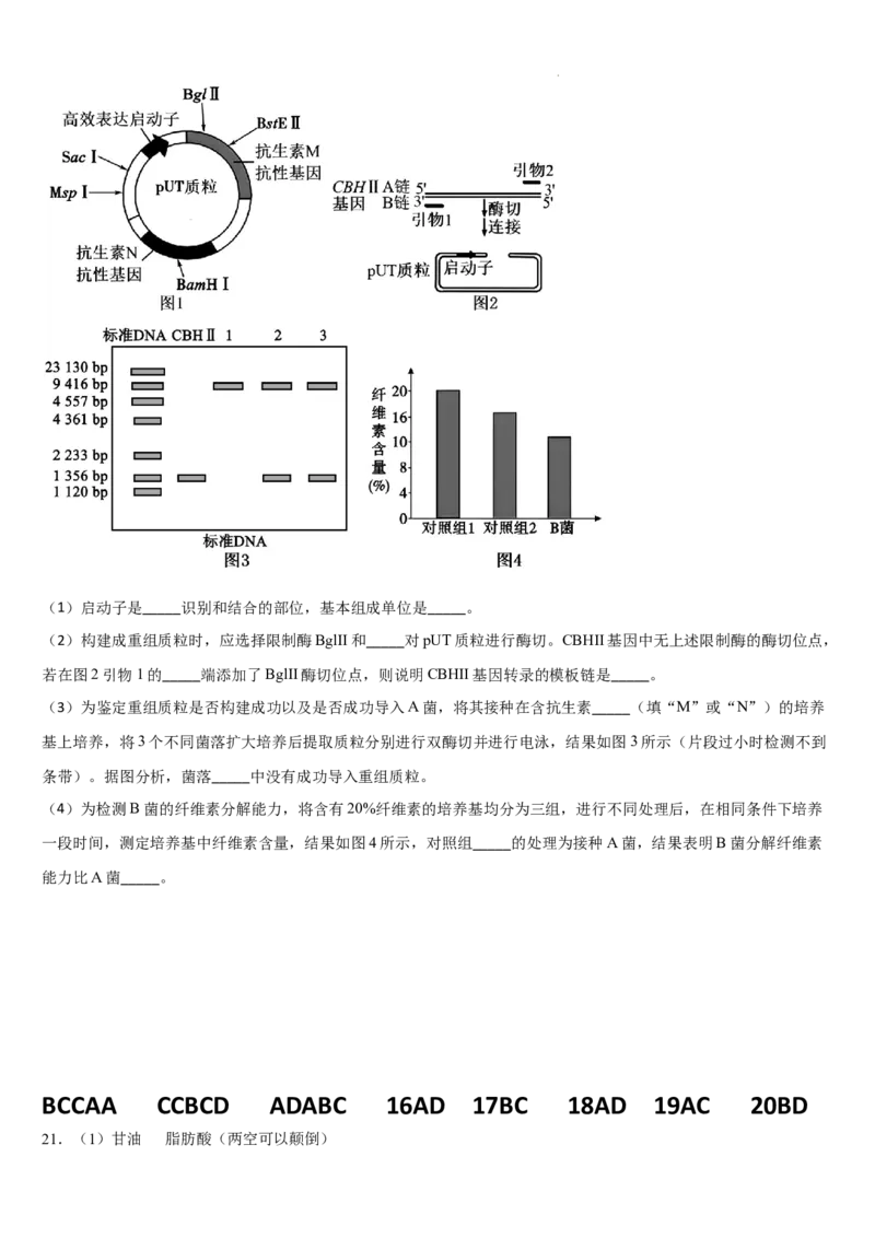 吉林省通化市梅河口市第五中学2025-2026学年高三上学期12月月考生物试题（含答案）_2025年12月_251216吉林省通化市梅河口市第五中学2025-2026学年高三上学期12月月考（全科）