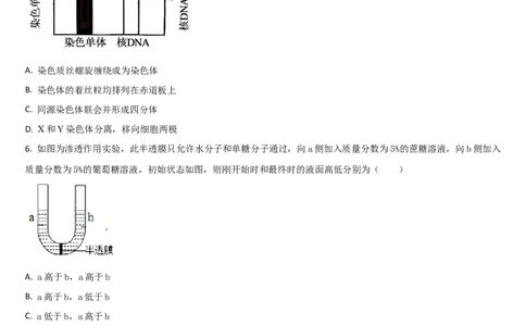 吉林省通化市梅河口市第五中学2025-2026学年高三上学期12月月考生物试题（含答案）_2025年12月_251216吉林省通化市梅河口市第五中学2025-2026学年高三上学期12月月考（全科）