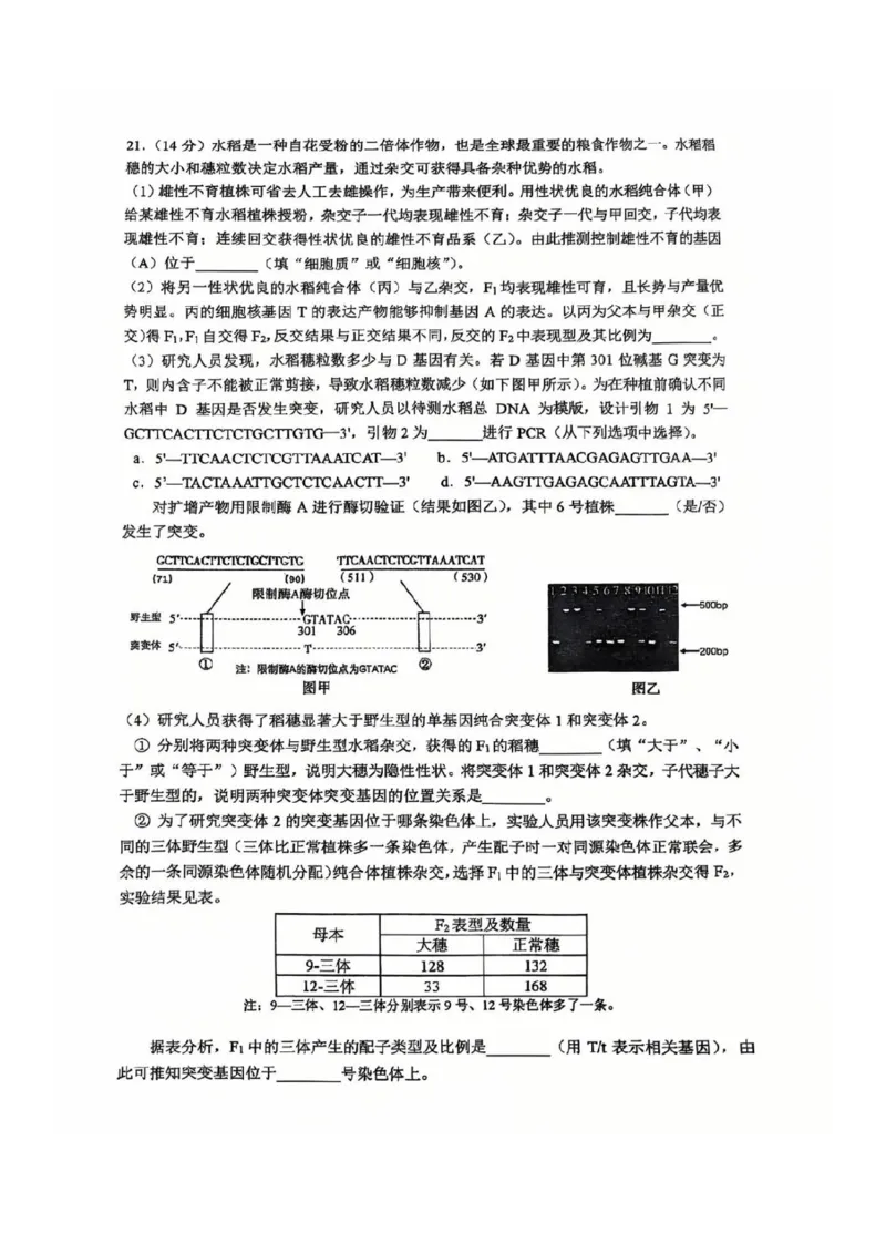 2025北京人大附中高三三模生物试题及答案_2025年6月_250604北京人民师范大学附属中学2025届高三三模（全科）