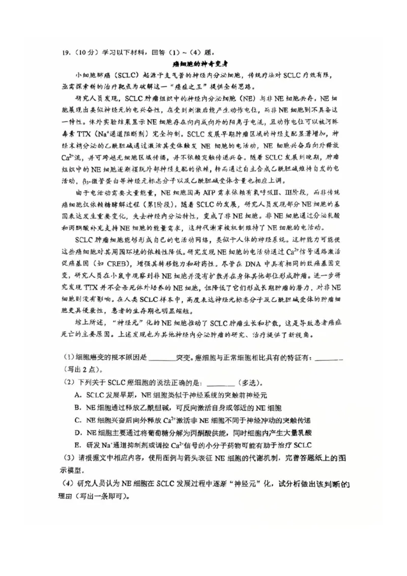 2025北京人大附中高三三模生物试题及答案_2025年6月_250604北京人民师范大学附属中学2025届高三三模（全科）