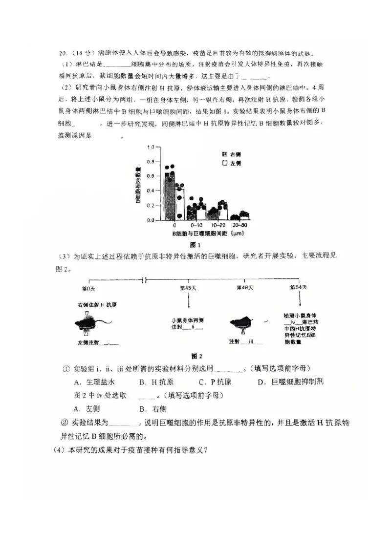 2025北京人大附中高三三模生物试题及答案_2025年6月_250604北京人民师范大学附属中学2025届高三三模（全科）