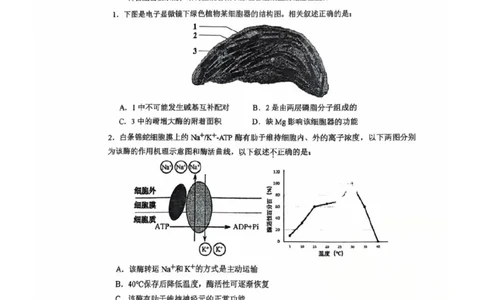 2025北京人大附中高三三模生物试题及答案_2025年6月_250604北京人民师范大学附属中学2025届高三三模（全科）