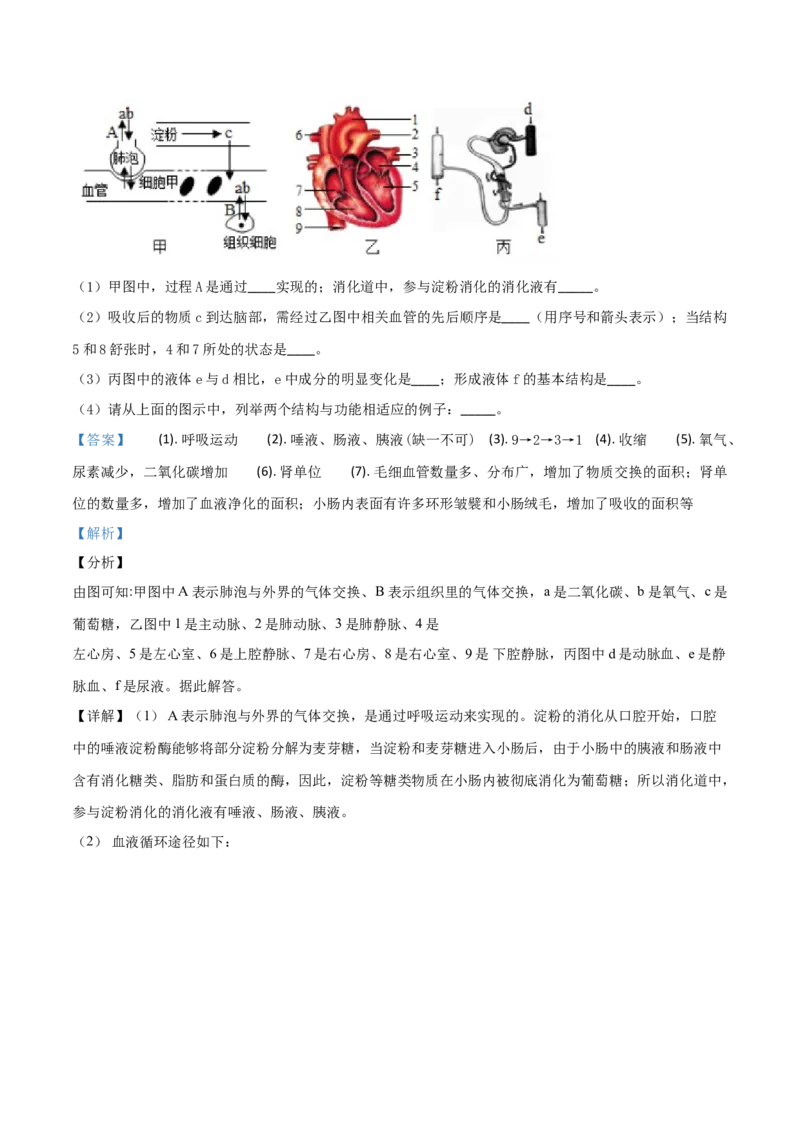 精品解析：2019年山东省潍坊市中考生物试题（解析版）_中考真题_8.生物中考真题2015-2024年_2019年全国中考生物92份_精品解析：山东省潍坊市2019年中考生物试题