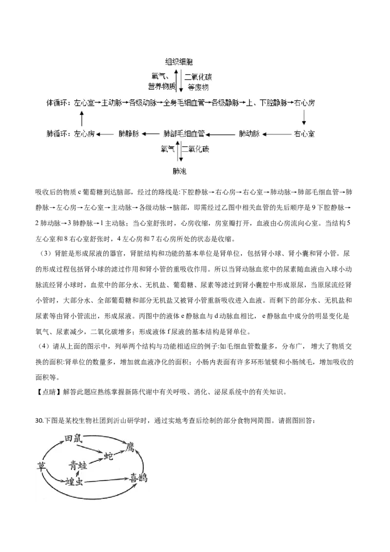 精品解析：2019年山东省潍坊市中考生物试题（解析版）_中考真题_8.生物中考真题2015-2024年_2019年全国中考生物92份_精品解析：山东省潍坊市2019年中考生物试题