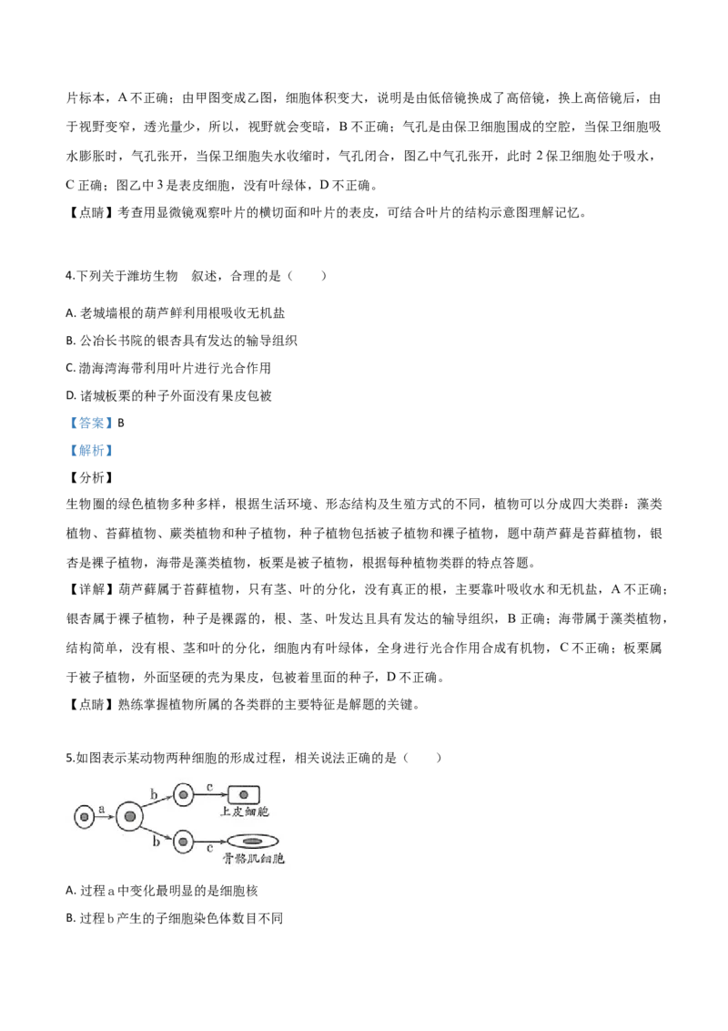 精品解析：2019年山东省潍坊市中考生物试题（解析版）_中考真题_8.生物中考真题2015-2024年_2019年全国中考生物92份_精品解析：山东省潍坊市2019年中考生物试题